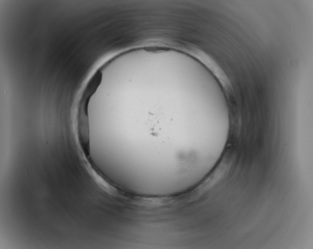 X0000086921438200705141713