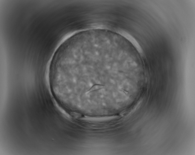 X0000086921439200705141713