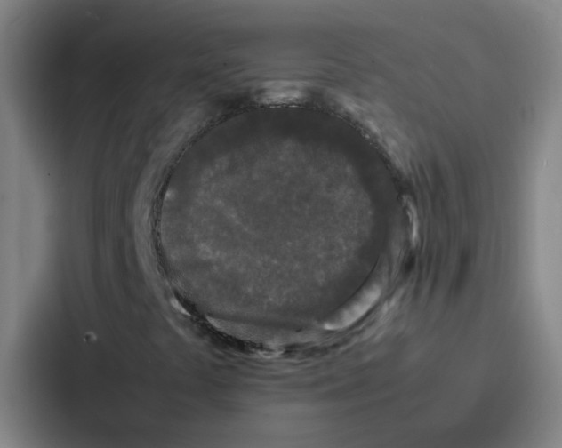 X0000086921441200705141713