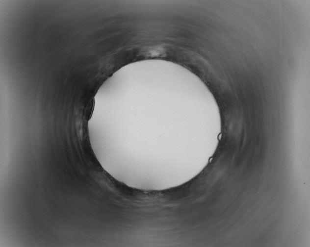 X0000086921442200705141713