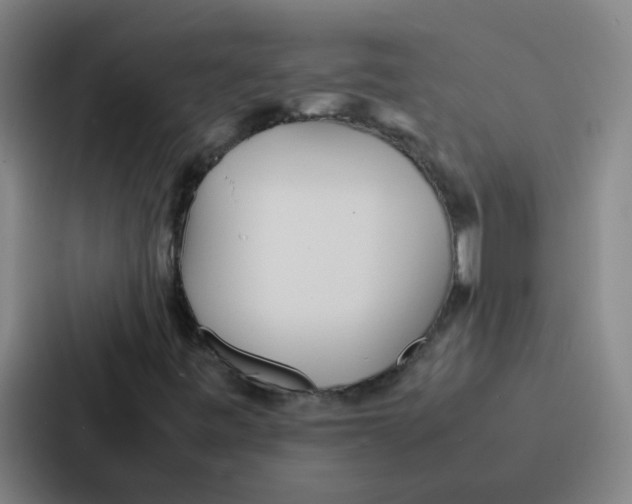 X0000086921443200705141713