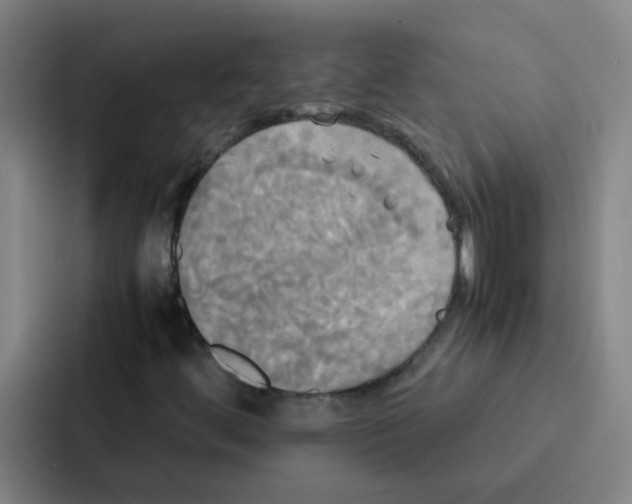 X0000086921444200705141713