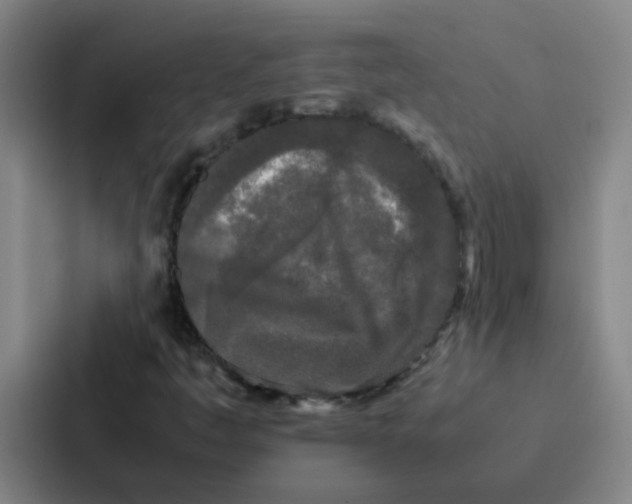 X0000086921445200705141713