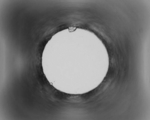 X0000086921447200705141713