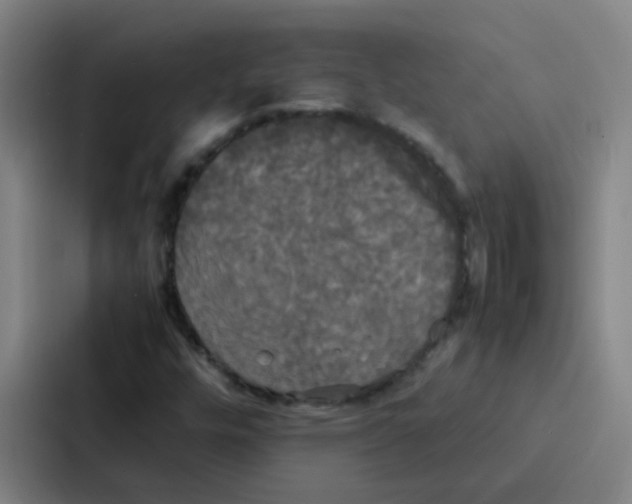 X0000086921448200705141713