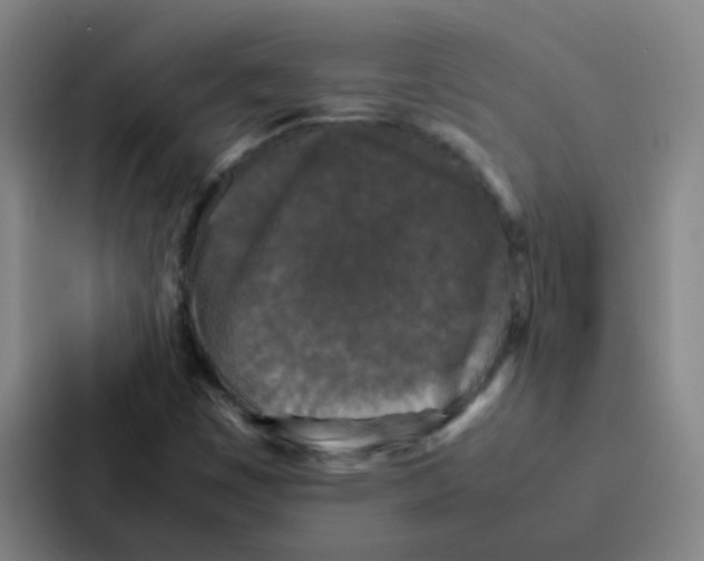 X0000086921449200705141713