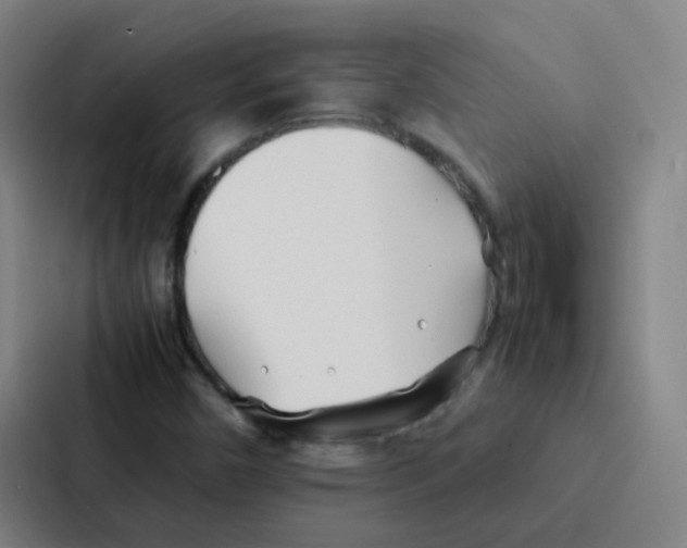 X0000086921450200705141713