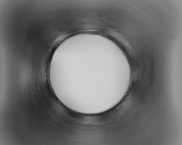 X0000086921451200705141713