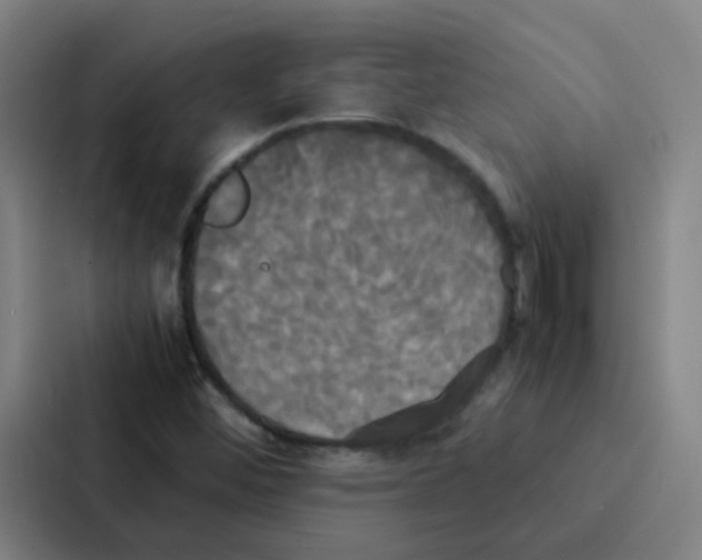 X0000086921452200705141713