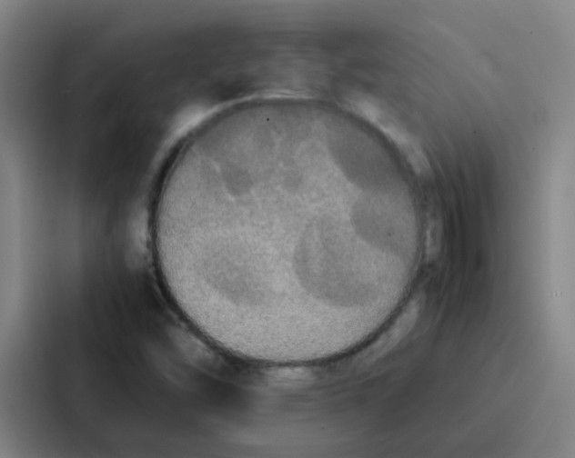 X0000086921454200705141713