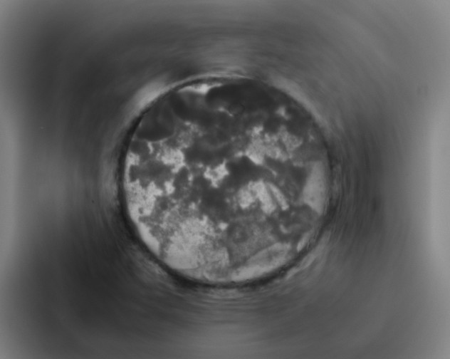 X0000086921455200705141713