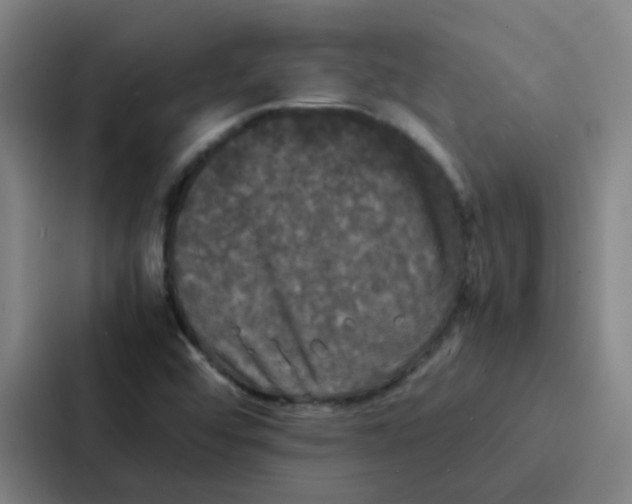 X0000086921456200705141713