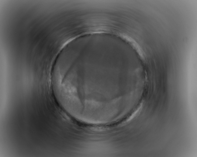 X0000086921457200705141713