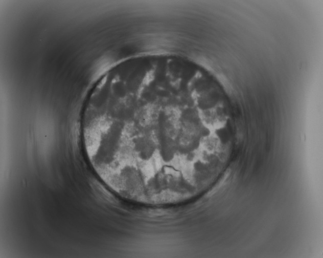 X0000086921459200705141713