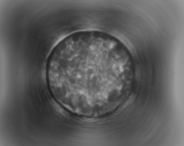 X0000086921460200705141713