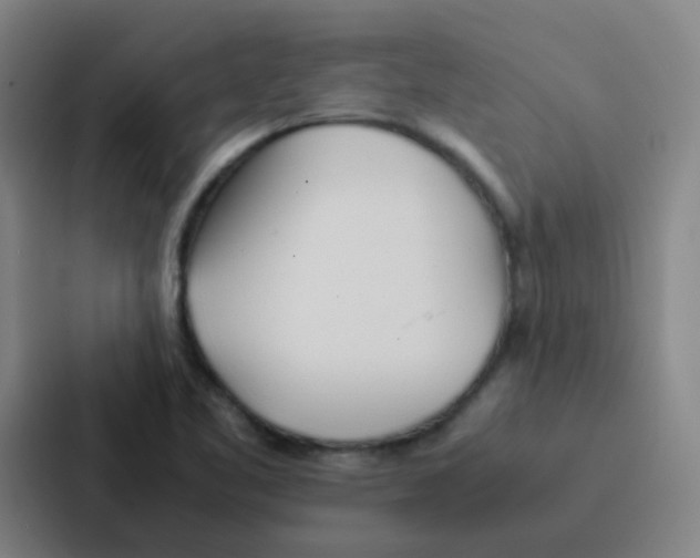 X0000086921461200705141713