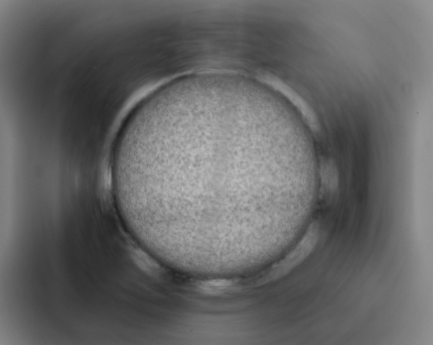 X0000086921462200705141713