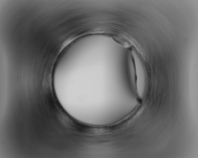 X0000086921465200705141712