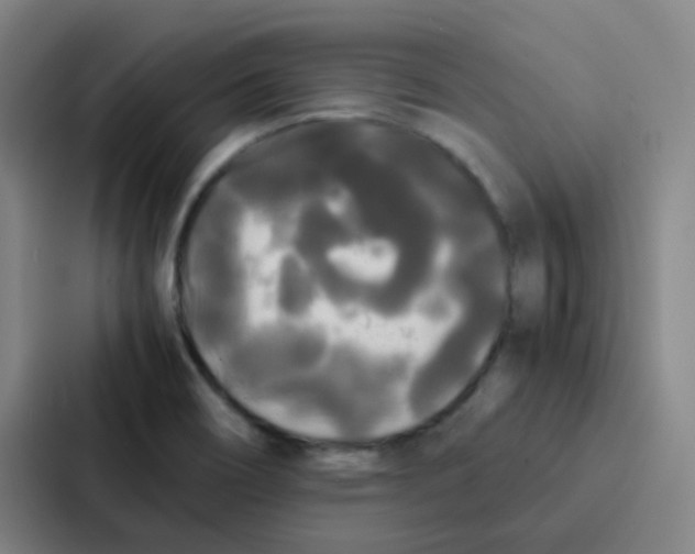 X0000086921466200705141712