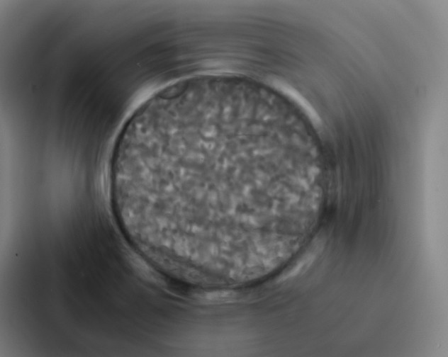 X0000086921467200705141712