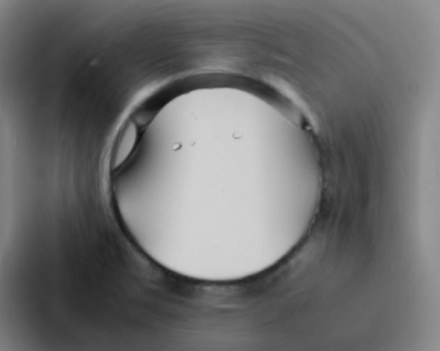 X0000086921469200705141712