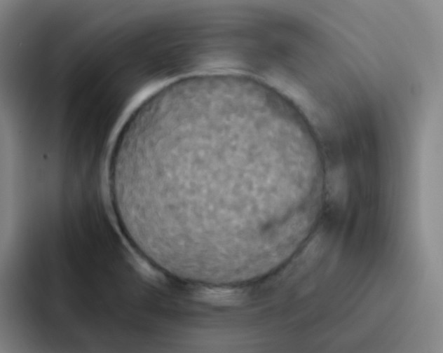 X0000086921470200705141712