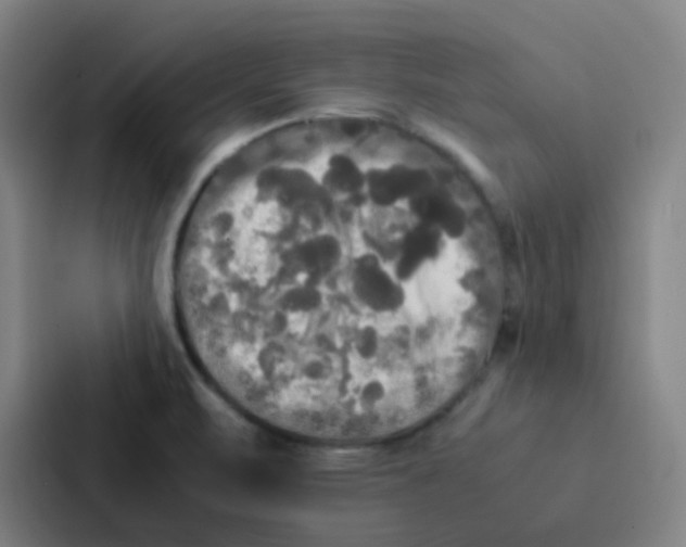 X0000086921471200705141712