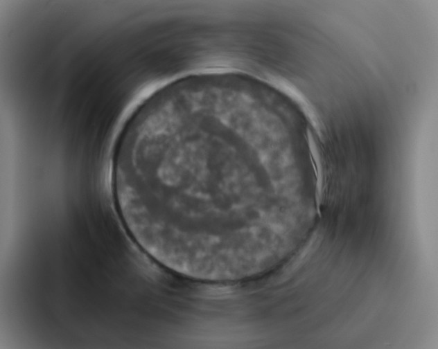 X0000086921472200705141712