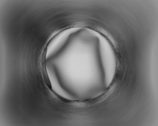 X0000086921473200705141712