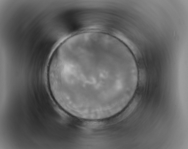 X0000086921474200705141712