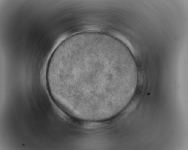 X0000086921475200705141712