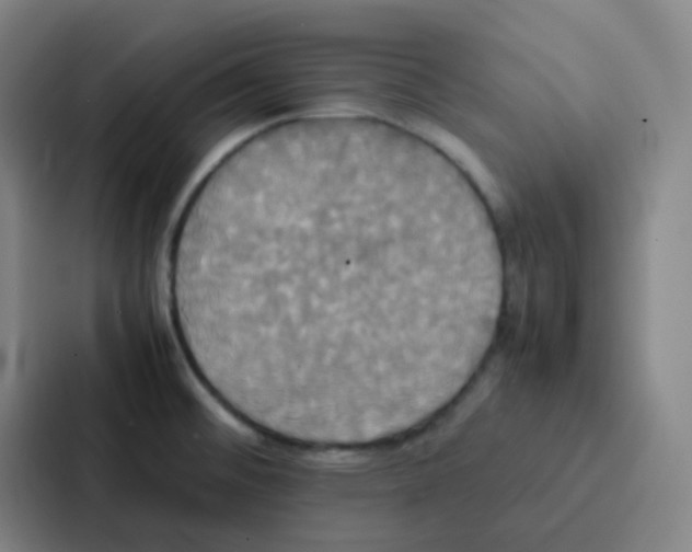 X0000086921476200705141712