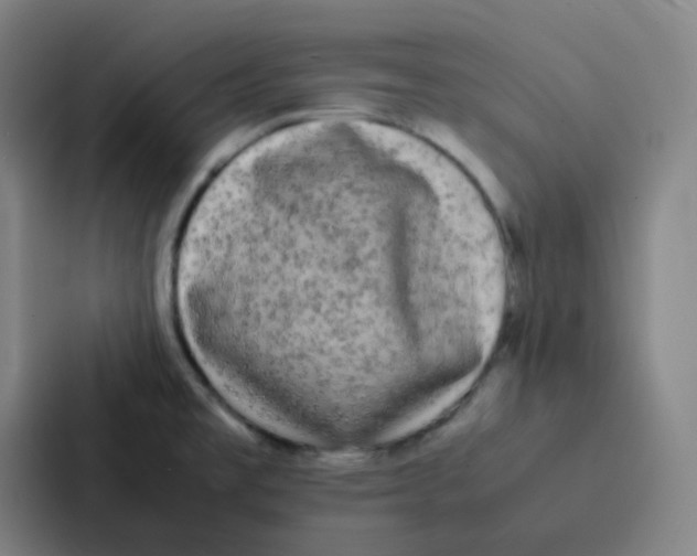 X0000086921477200705141712