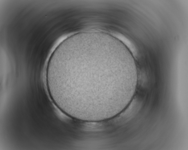 X0000086921478200705141712