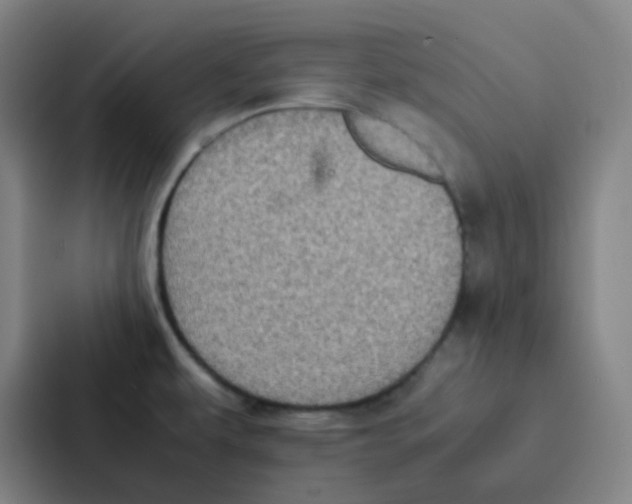 X0000086921479200705141712