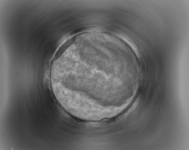 X0000086921481200705141712