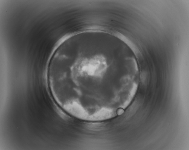 X0000086921482200705141712