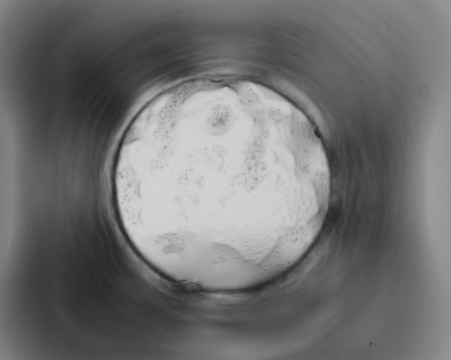 X0000086921483200705141712