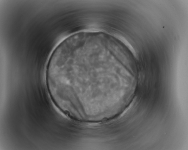 X0000086921484200705141712