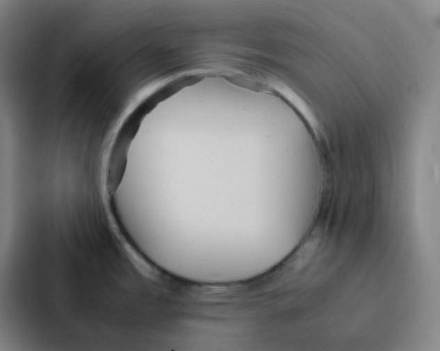 X0000086921485200705141712