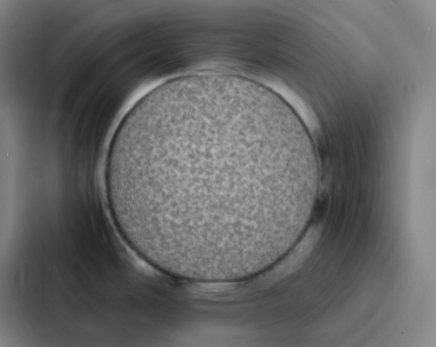 X0000086921486200705141712