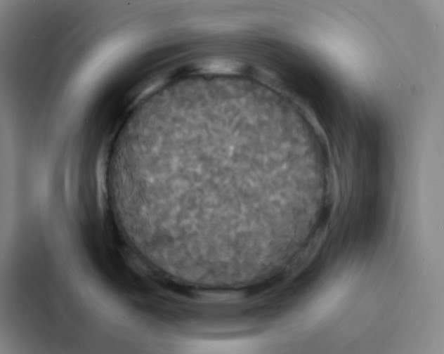 X0000086921487200705141712