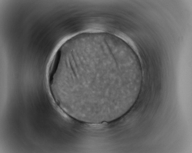 X0000086921488200705141712