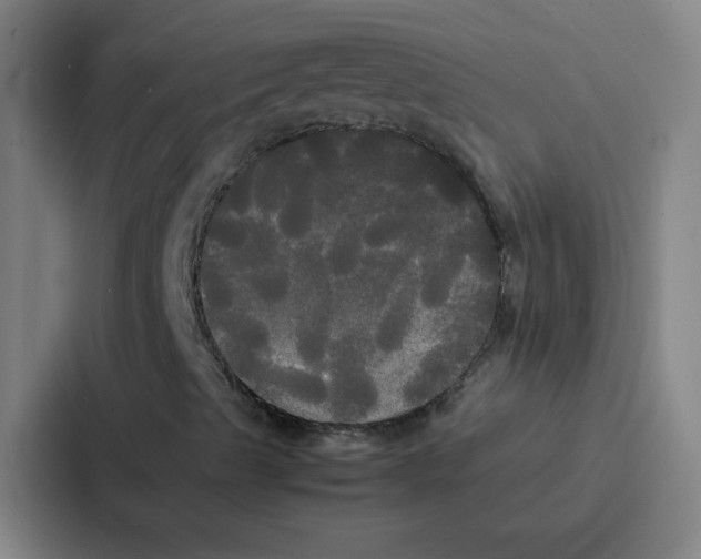 X0000086921489200705141712