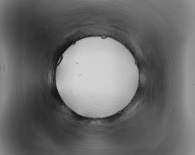 X0000086921490200705141712