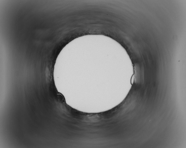 X0000086921491200705141712