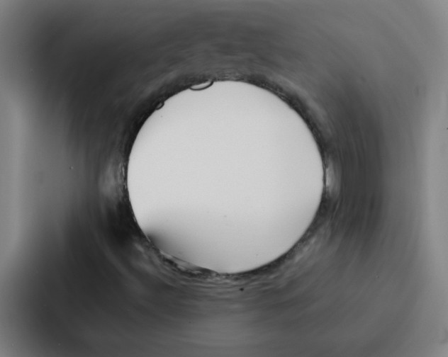 X0000086921492200705141712