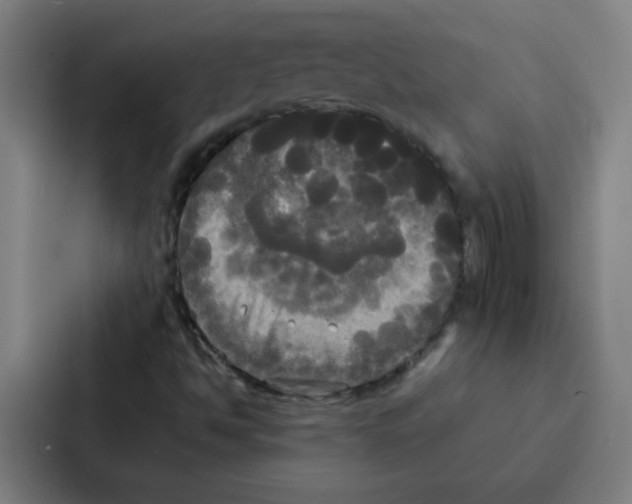 X0000086921494200705141712