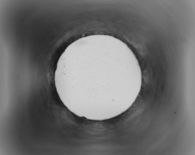 X0000086921495200705141712