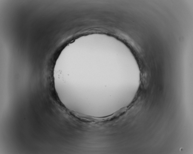 X0000086921496200705141712